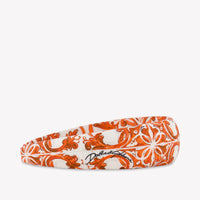 Dolce & Gabbana Kinder Meisjes Accessoire In Oranje