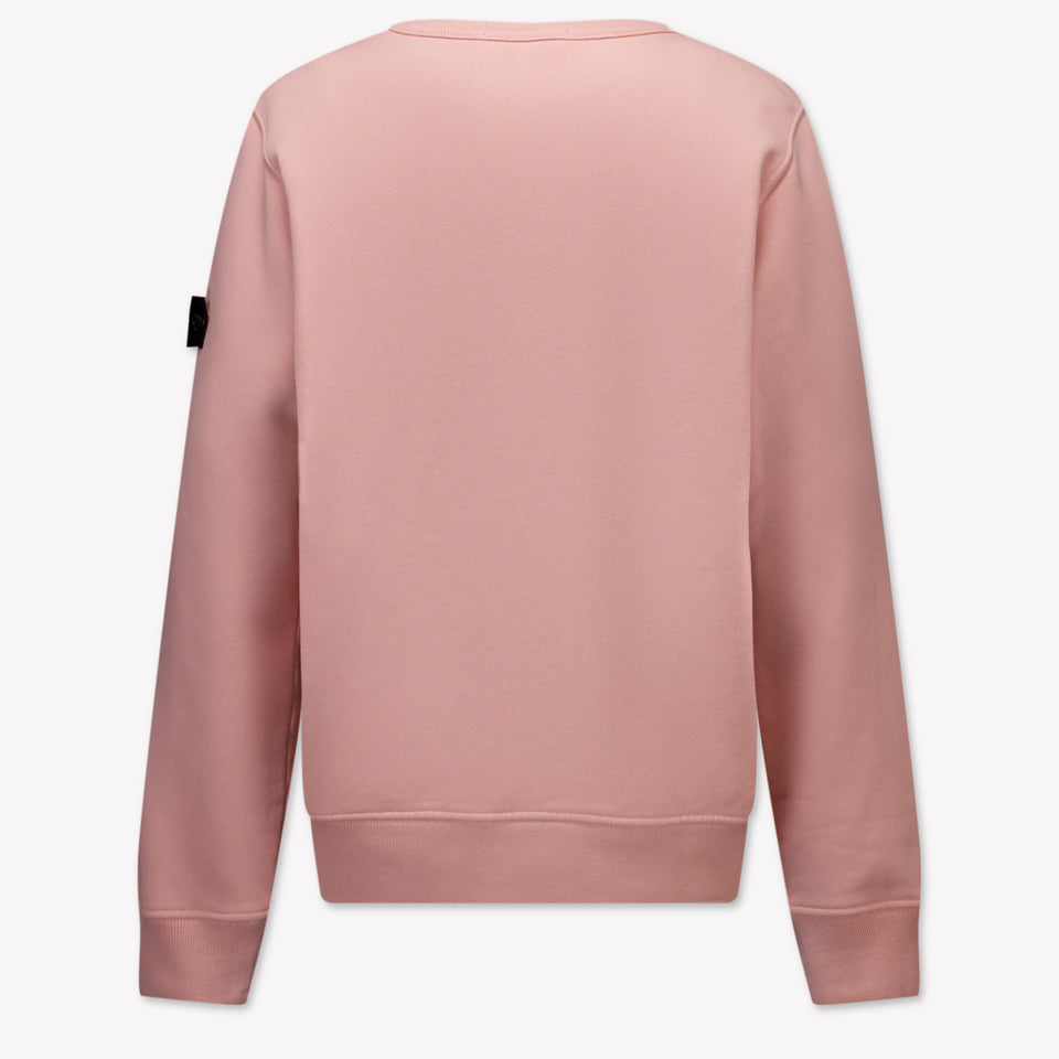 Stone Island Kinder Jongens Trui In Roze
