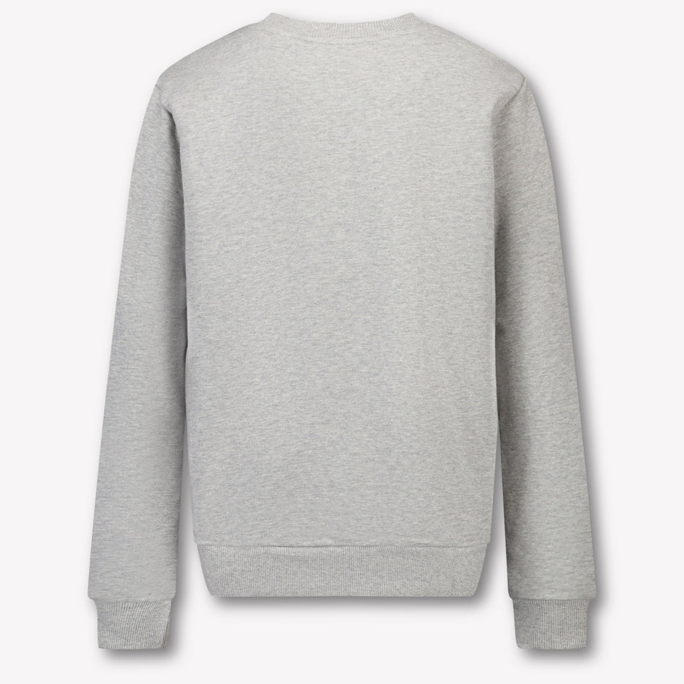 Kenzo kids Kinder Jongens Trui In Grijs