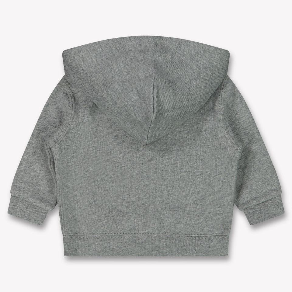 Ralph Lauren Baby Jongens Vest In Licht Grijs