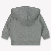 Ralph Lauren Baby Jongens Vest In Licht Grijs
