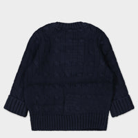 Ralph Lauren Baby Jongens Trui In Navy