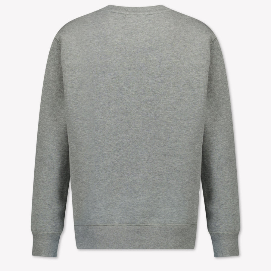 Ralph Lauren Kinder Jongens Trui In Licht Grijs