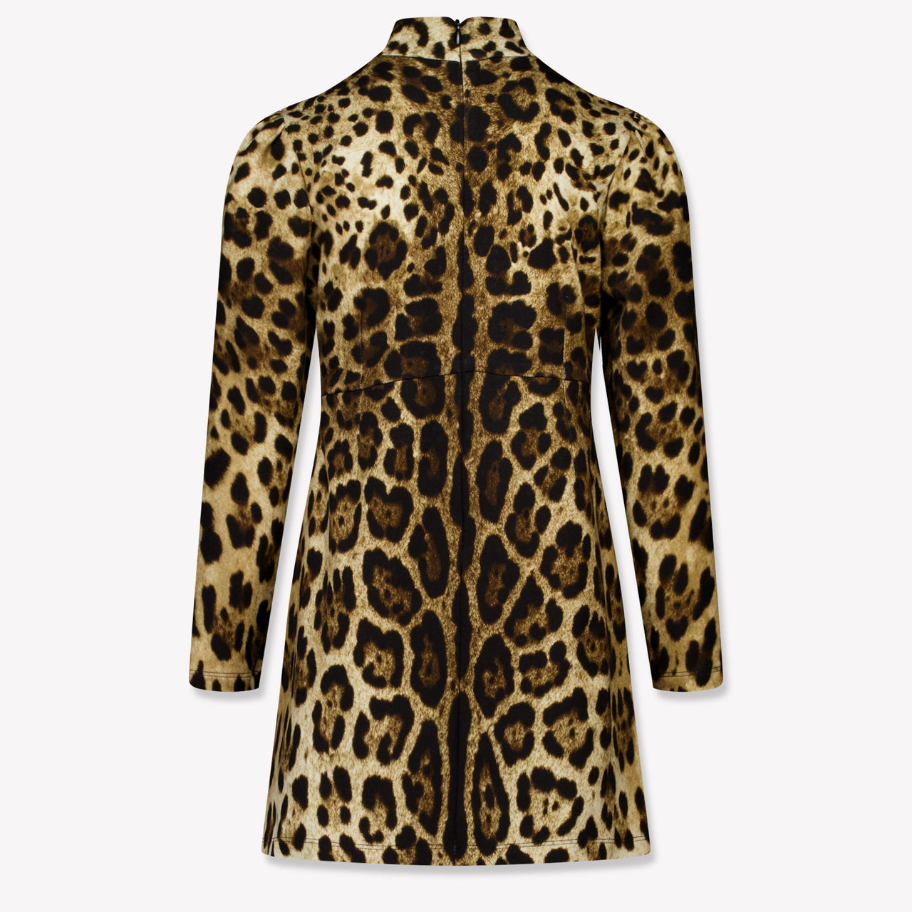 Dolce & Gabbana Kinder Meisjes Jurk In Bruin