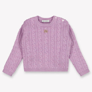 Dolce & Gabbana Baby Meisjes Trui In Lila