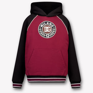 Dolce & Gabbana Kinder Jongens Trui In Bordeaux