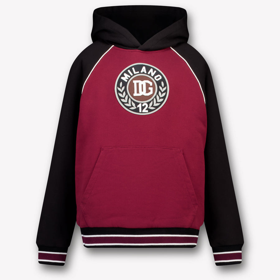 Dolce & Gabbana Kinder Jongens Trui In Bordeaux