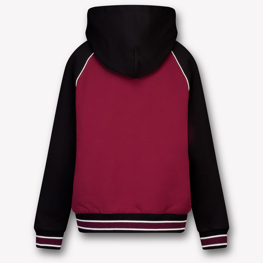 Dolce & Gabbana Kinder Jongens Trui In Bordeaux