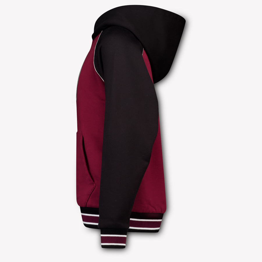 Dolce & Gabbana Kinder Jongens Trui In Bordeaux