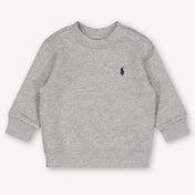 Ralph Lauren Baby Jongens Trui In Grijs
