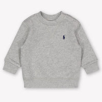 Ralph Lauren Baby Jongens Trui In Grijs