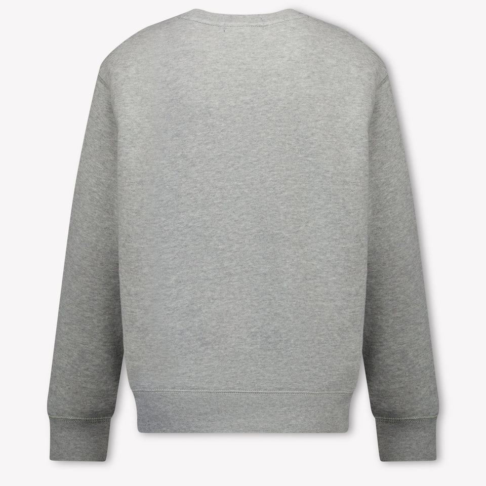 Ralph Lauren Kinder Jongens Trui In Grijs