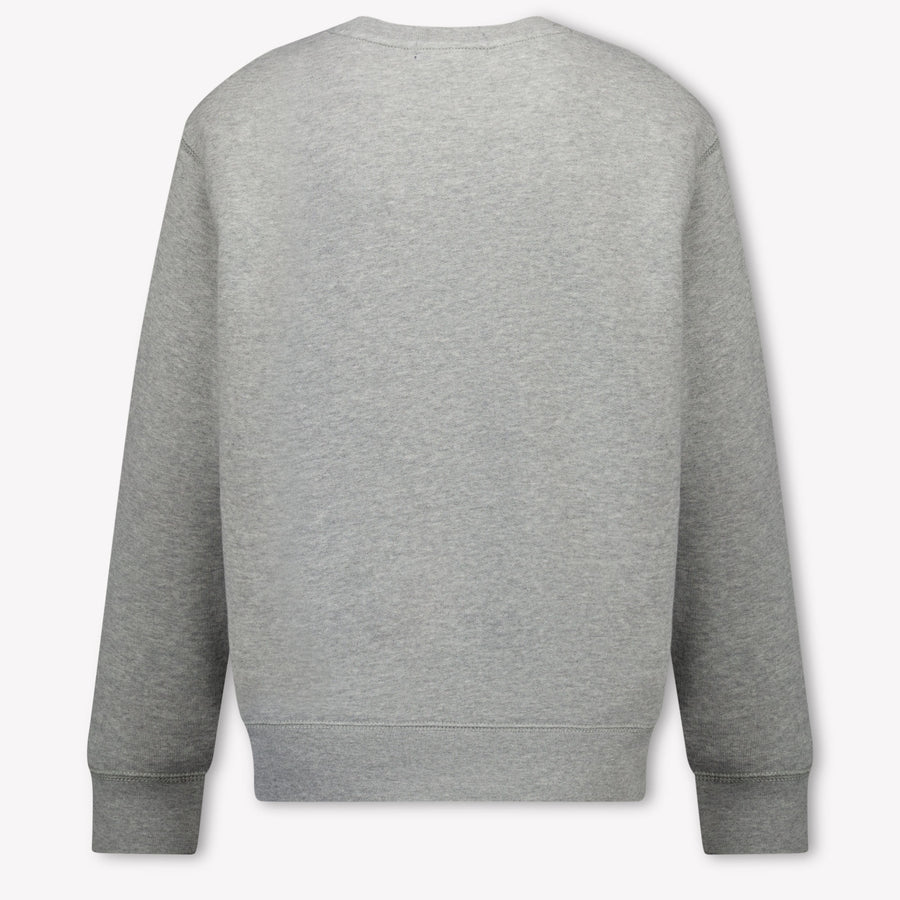 Ralph Lauren Kinder Jongens Trui In Grijs