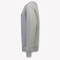 Ralph Lauren Kinder Jongens Trui In Grijs