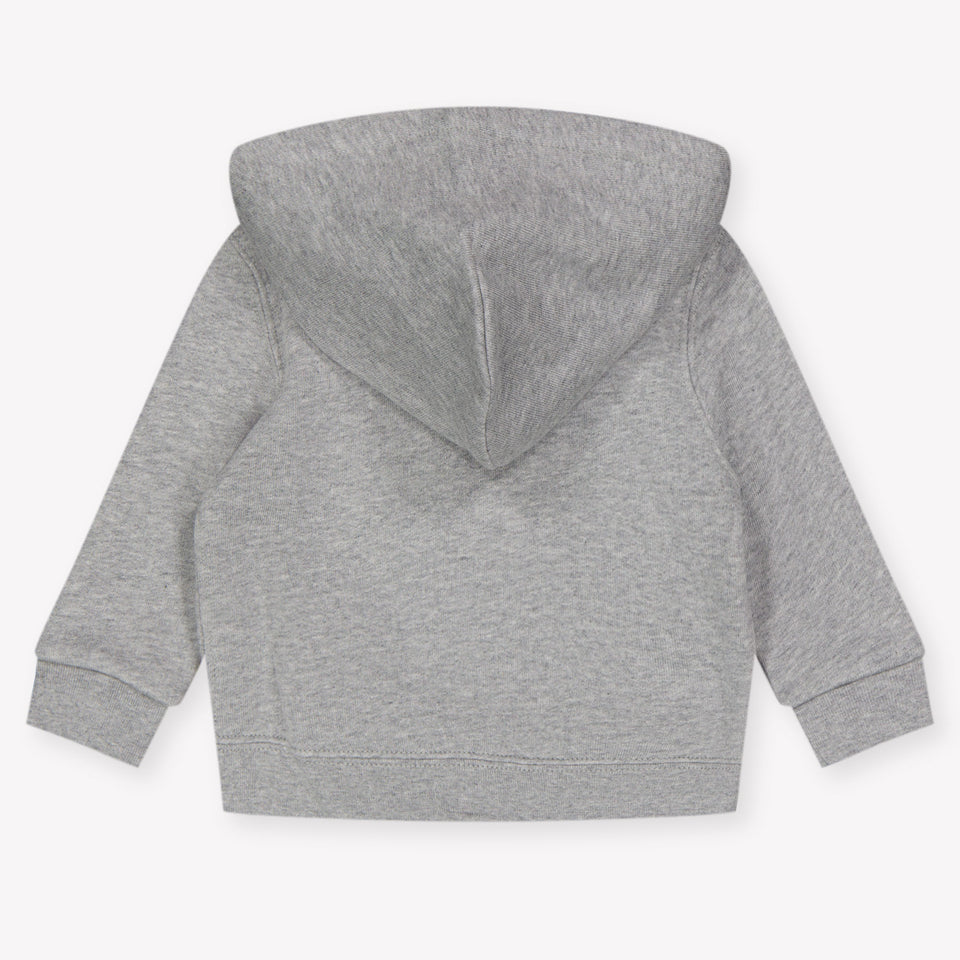 Ralph Lauren Baby Jongens Vest In Grijs