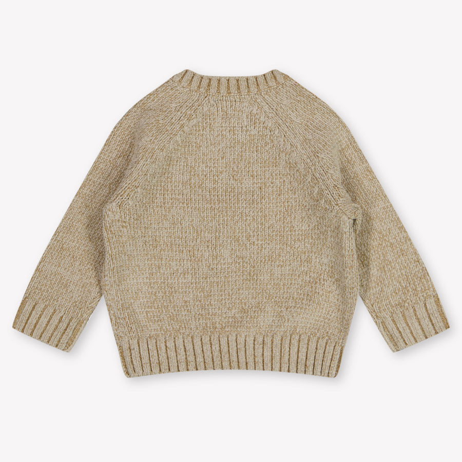 Guess Baby Jongens Trui In Beige