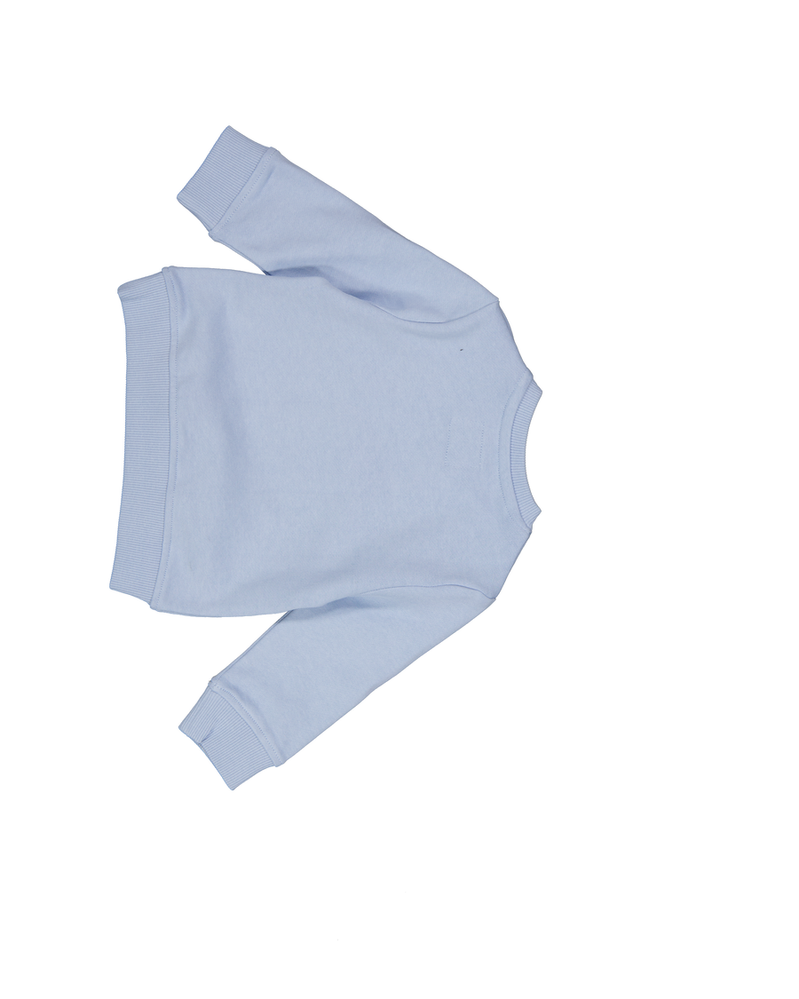 Guess Baby Jongens Trui In Licht Blauw
