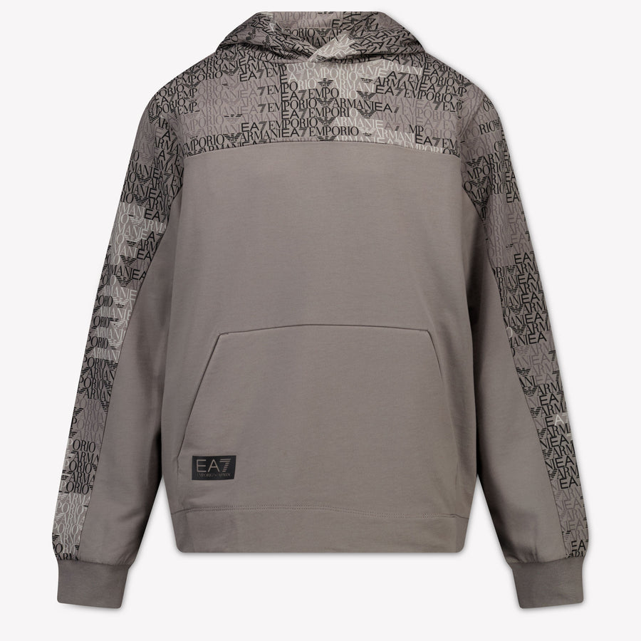 EA7 Boys Sweater in Light Grey