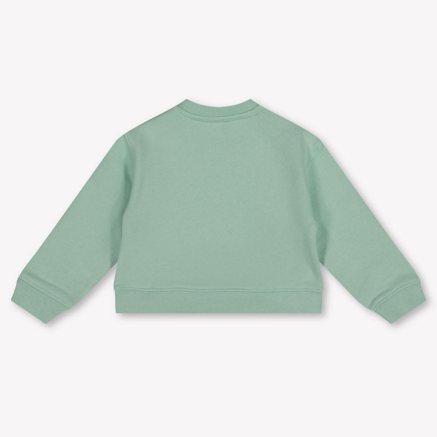 Palm Angels Baby Jongens Trui In Licht Groen