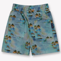 Palm Angels Baby Jongens Shorts In Licht Blauw