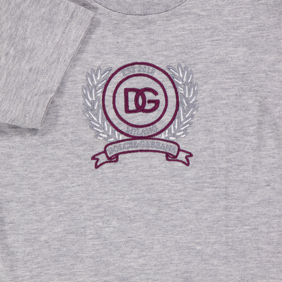 Dolce & Gabbana Baby Jongens T-Shirt In Grijs