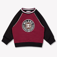 Dolce & Gabbana Baby Jongens Trui In Bordeaux