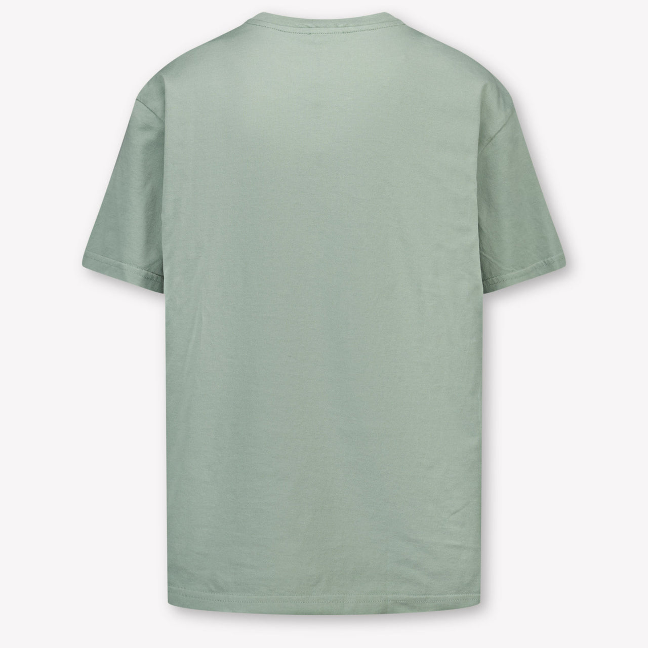 Dolce & Gabbana Kinder Jongens T-Shirt In Licht Groen