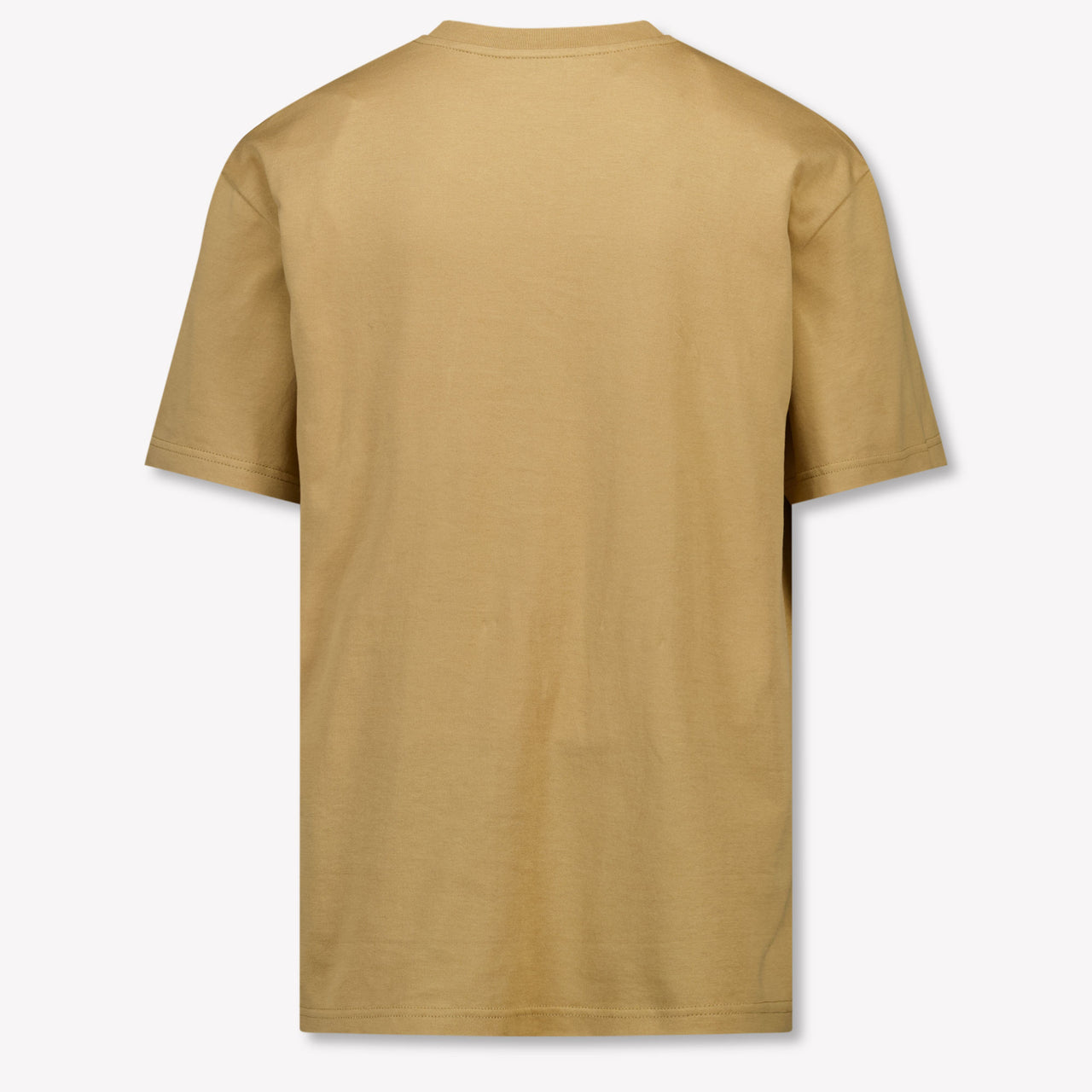 Dolce & Gabbana Kinder Jongens T-Shirt In Beige