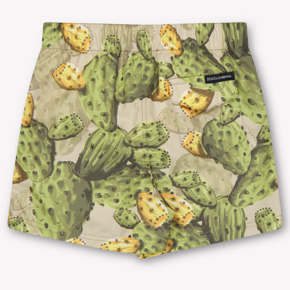 Dolce & Gabbana Baby Jongens Zwemkleding In Groen