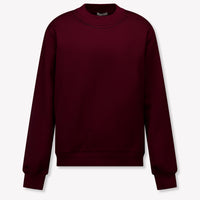 Dolce & Gabbana Kinder Jongens Trui In Bordeaux