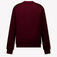 Dolce & Gabbana Kinder Jongens Trui In Bordeaux