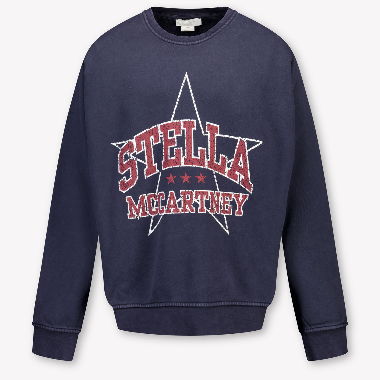 Stella McCartney Kinder Meisjes Trui In Navy