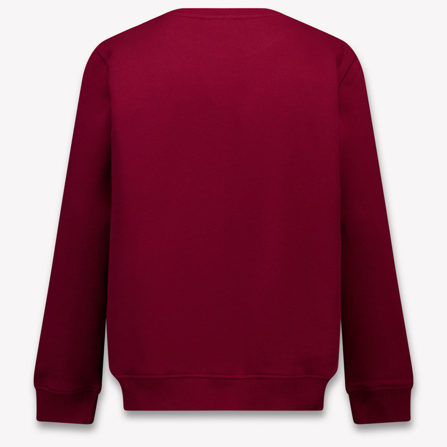 Stella McCartney Kinder Meisjes Trui In Bordeaux