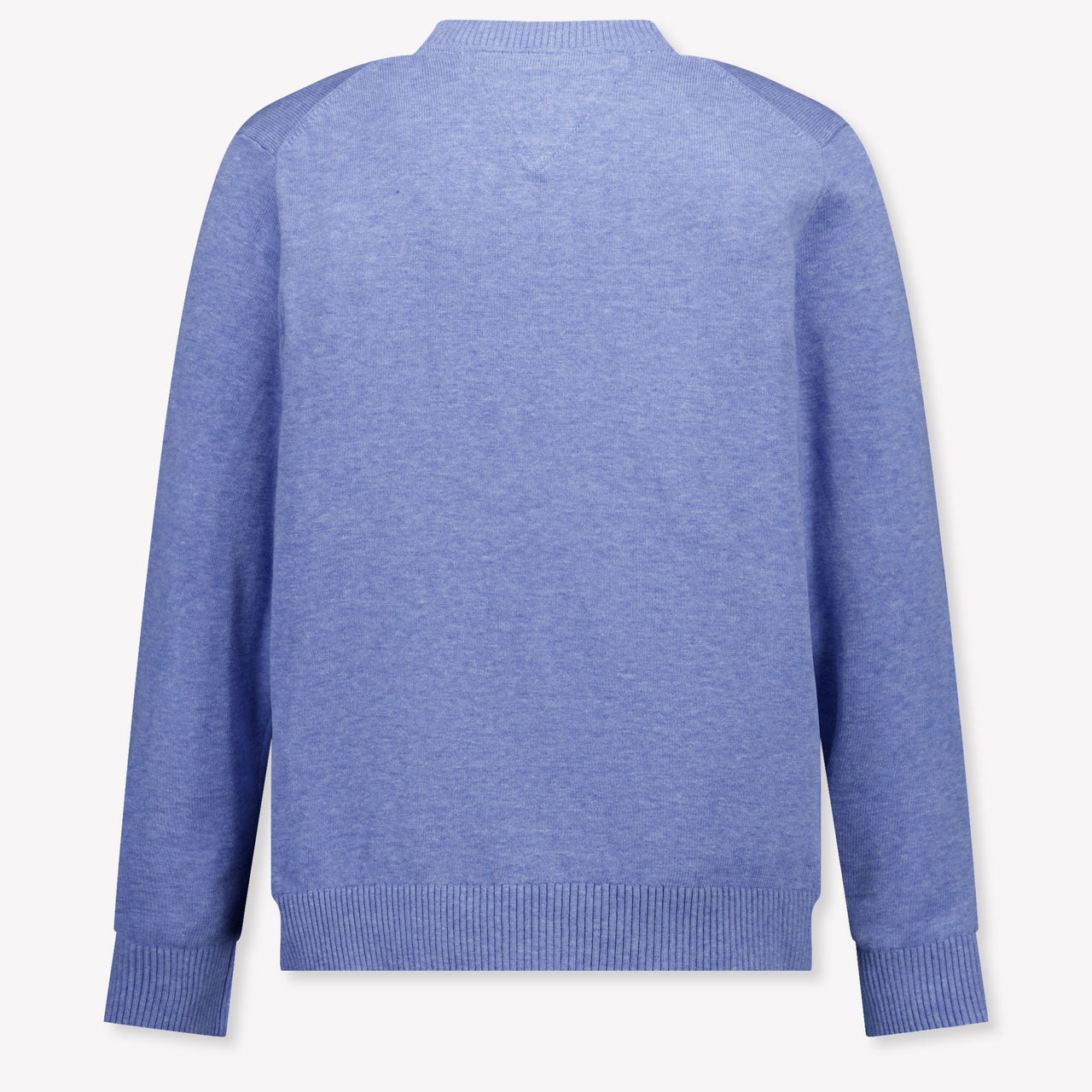 Tommy Hilfiger Kinder Jongens Trui In Licht Blauw