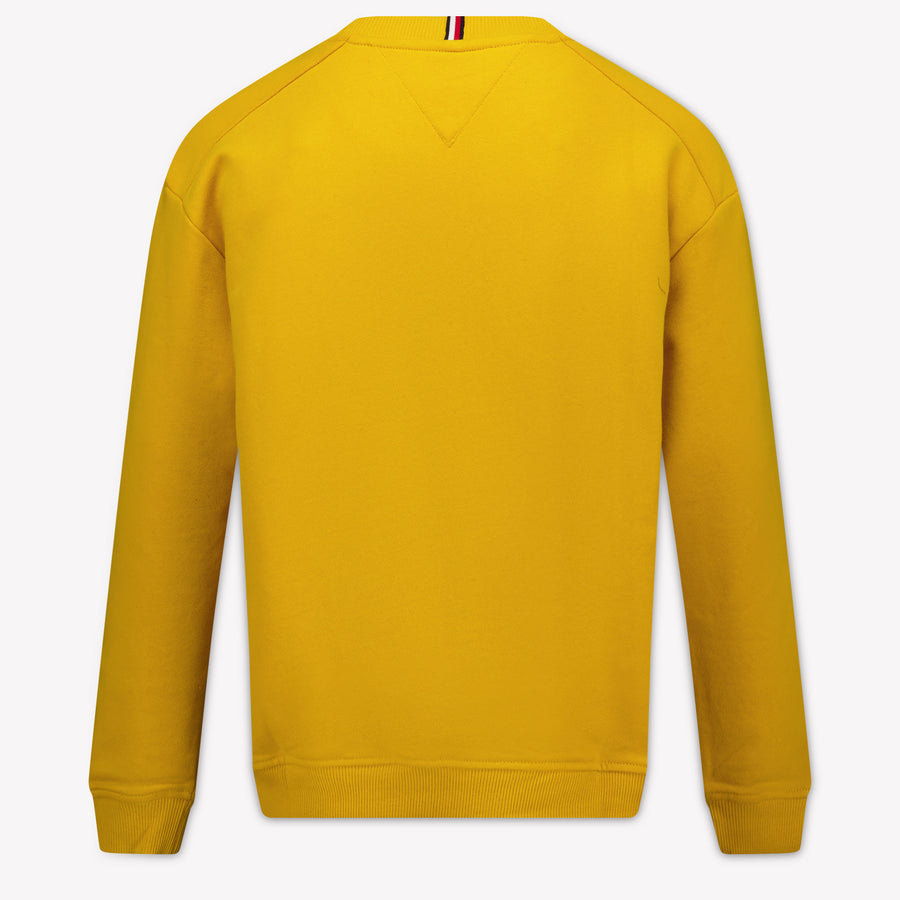 Tommy Hilfiger Kinder Jongens Trui In Geel