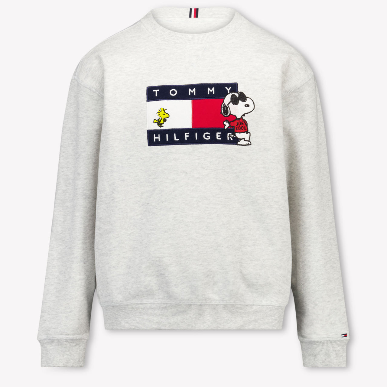 Tommy Hilfiger Kinder Unisex Trui In Grijs