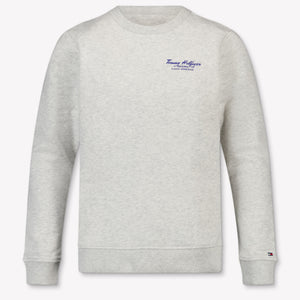 Tommy Hilfiger Kids Boys Sweater In Gray