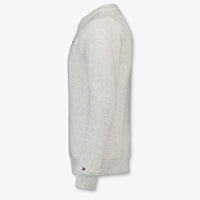 Tommy Hilfiger Kids Boys Sweater In Gray