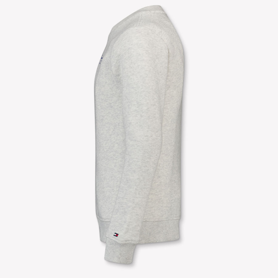 Tommy Hilfiger Kids Boys Sweater In Gray