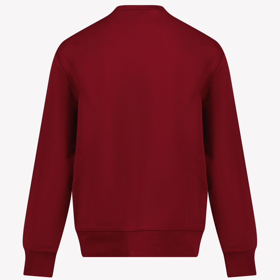 Dsquared2 Jongens Trui Bordeaux