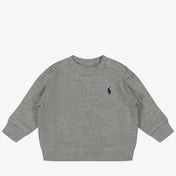 Ralph Lauren Baby Jongens Trui Grijs