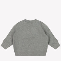 Ralph Lauren Baby Jongens Trui In Licht Grijs